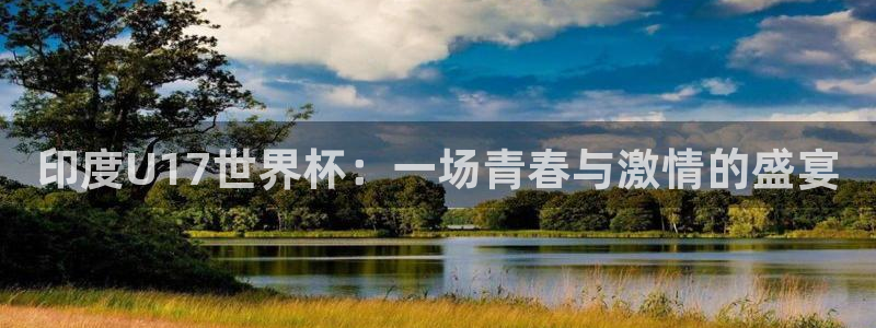 世界杯预选赛亚洲:印度U17世界杯:一场青春与激情的盛宴