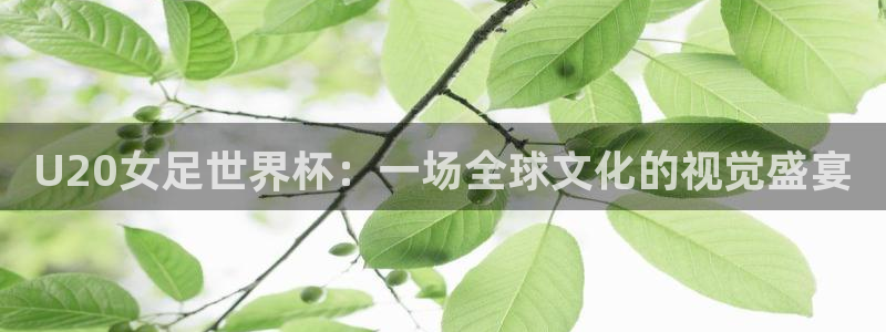 世界杯今年:U20女足世界杯:一场全球文化的视觉盛宴