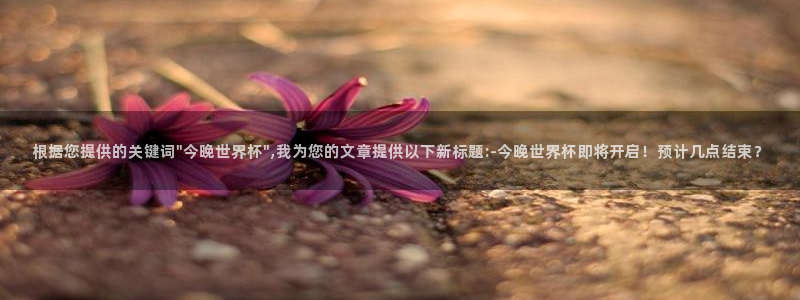2026年世界杯时间表:根据您提供的关键词\