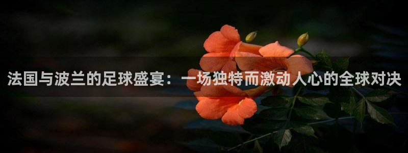 世界杯决赛圈球队:法国与波兰的足球盛宴:一场独特而激动人心的全球对决