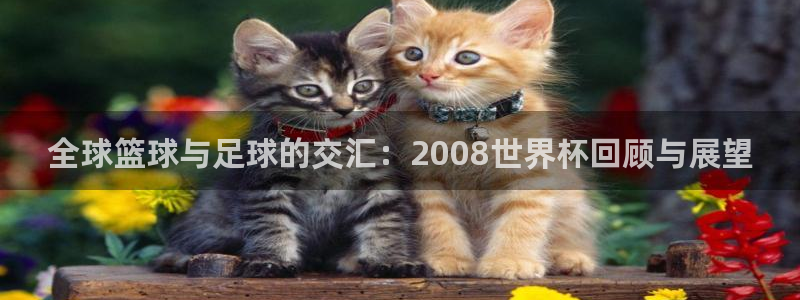 2026世界杯欧洲预选赛赛程表:全球篮球与足球的交汇:2008世界杯回顾与展望