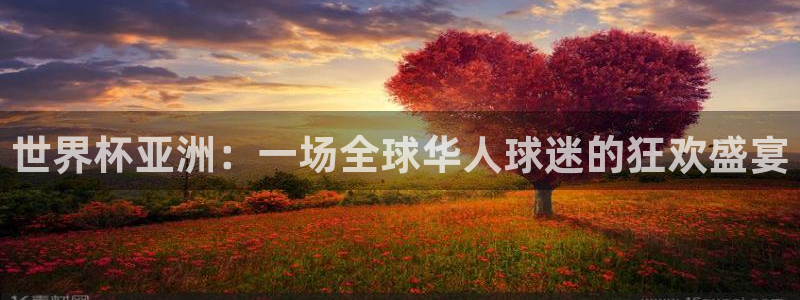 世界杯48支球队赛制:世界杯亚洲:一场全球华人球迷的狂欢盛宴