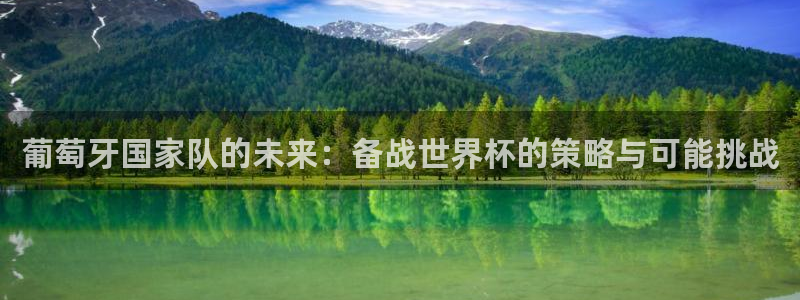 2026年世界杯赛程时间表格:葡萄牙国家队的未来:备战世界杯的策略与可能挑战