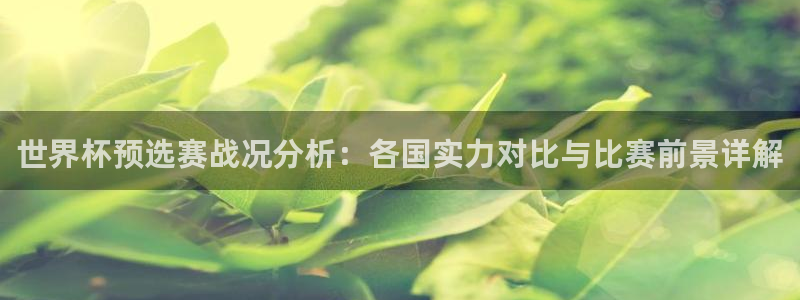 世界杯足球赛2026:世界杯预选赛战况分析:各国实力对比与比赛前景详解