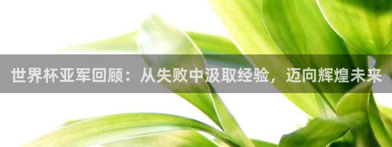 足球世预赛:世界杯亚军回顾:从失败中汲取经验,迈向辉煌未来